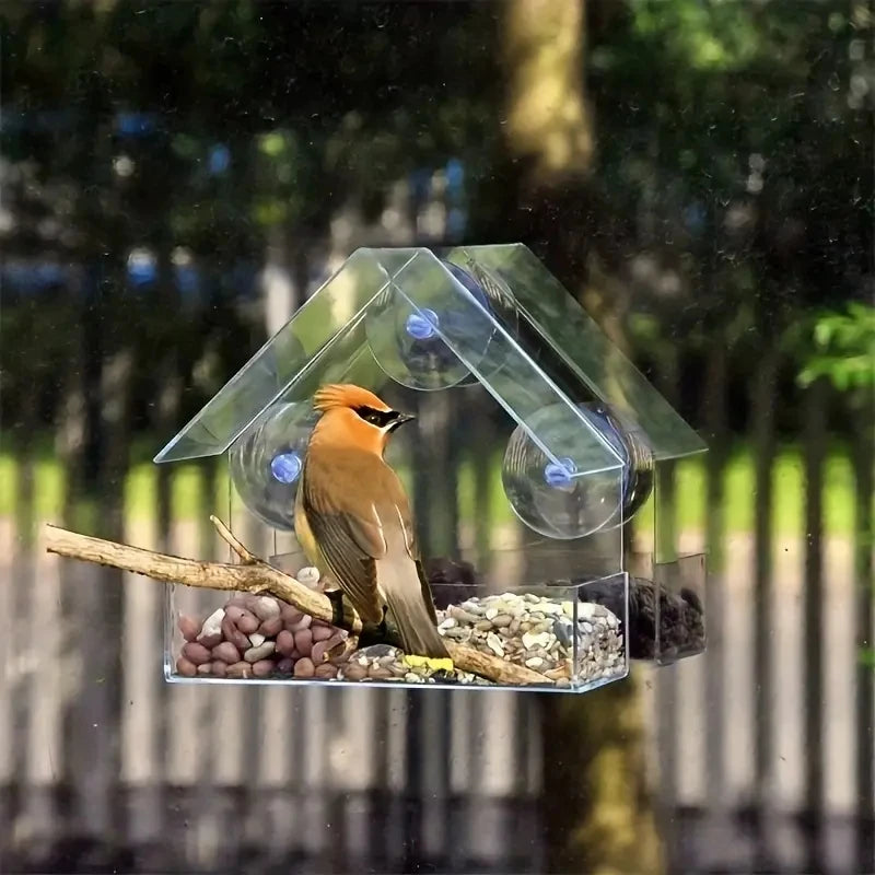 Acrylic Bird Feeder - Clear Window Hanging Feeder with Suction Cup for Outdoor Garden & Backyard
