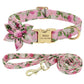 Custom Engraved Dog Collar with Leash - Nylon Printed ID Collar & Walking Belt for Small, Medium & Large Dogs