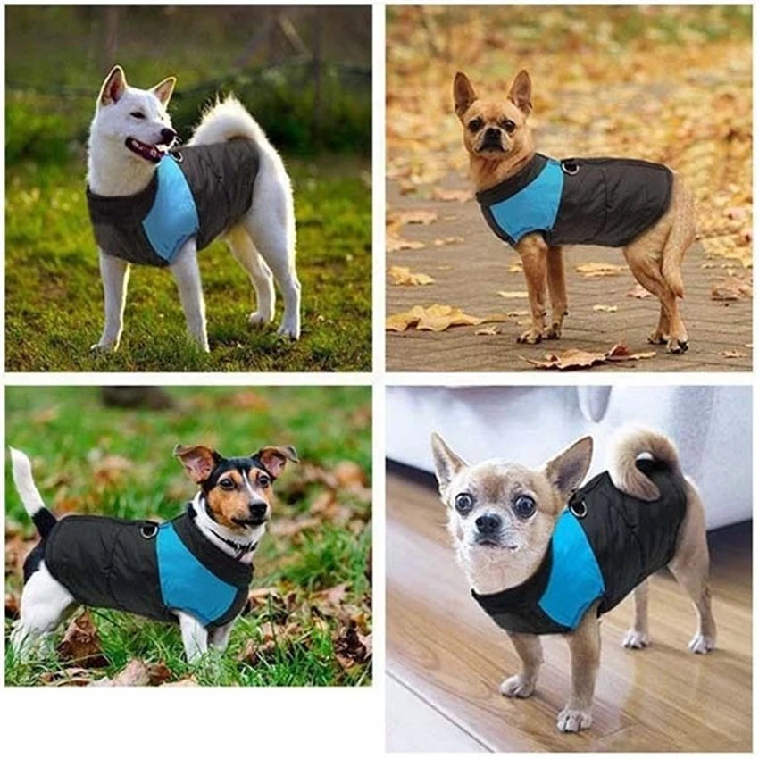 Waterproof Dog Parka - Winter Cotton Vest for All Sizes