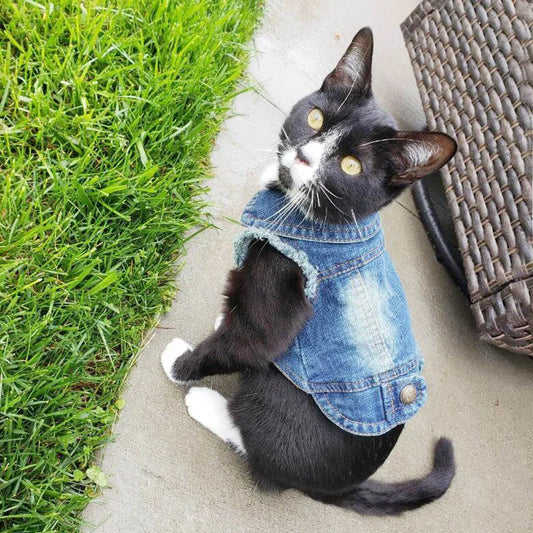Denim Cat Vest - Casual Jeans Jacket for Pets