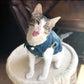 Denim Cat Vest - Casual Jeans Jacket for Pets