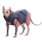 Sphynx Cat Hoodie - Warm Cotton Fleece Sweatshirt