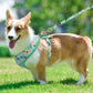 Floral Dog Harness and Leash Set - Adjustable Vest for All Sizes