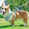 Floral Dog Harness and Leash Set - Adjustable Vest for All Sizes