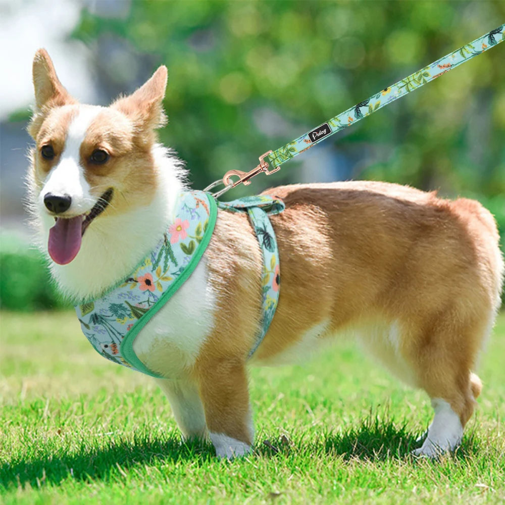 Floral Dog Harness and Leash Set - Adjustable Vest for All Sizes