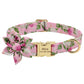 Custom Engraved Dog Collar with Leash - Nylon Printed ID Collar & Walking Belt for Small, Medium & Large Dogs