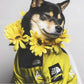 Waterproof Dog Raincoat - Windbreaker Hoodie for All Sizes
