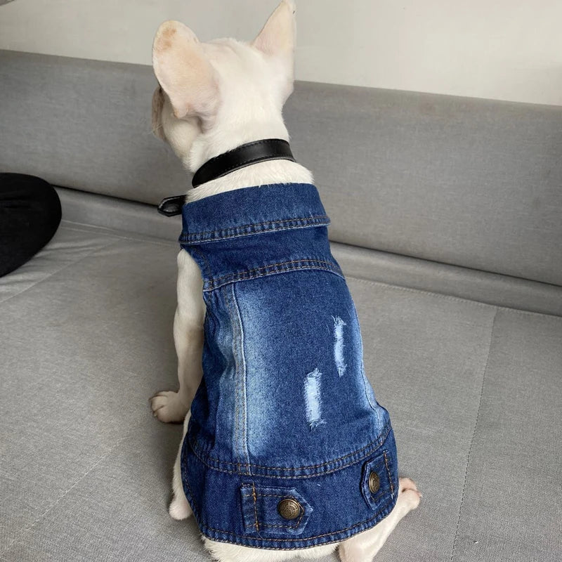 Denim Cat Vest - Casual Jeans Jacket for Pets