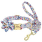 Custom Engraved Dog Collar with Leash - Nylon Printed ID Collar & Walking Belt for Small, Medium & Large Dogs