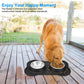Anti-Slip Double Dog Bowl - Stainless Steel with Mat