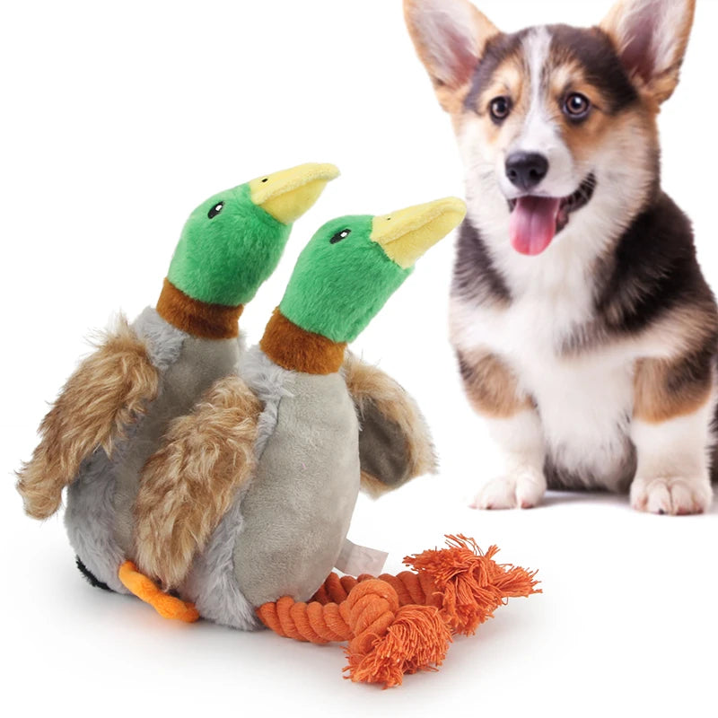 Plush Duck Squeak Toy - Chew Rope for Tooth Cleaning