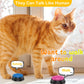 Recordable Pet Training Buttons - Interactive Talking Buzzers