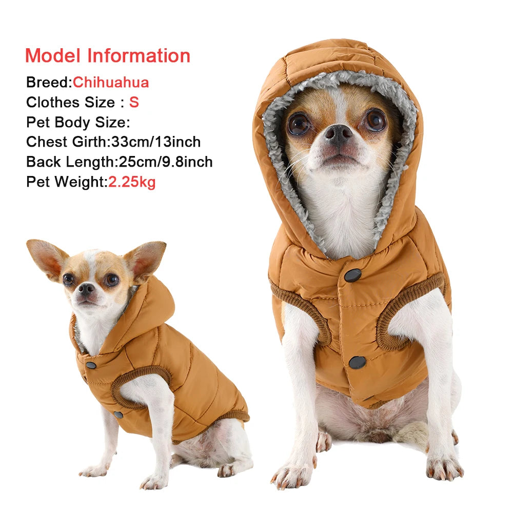 Windproof Cat Hoodie - Cozy Fleece Winter Jacket