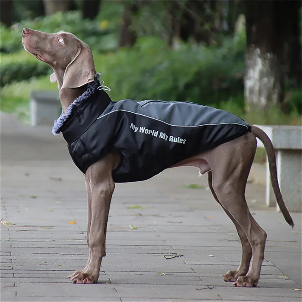 Winter Dog Coat with Fur Collar - Extra Large Sizes XL to 6XL