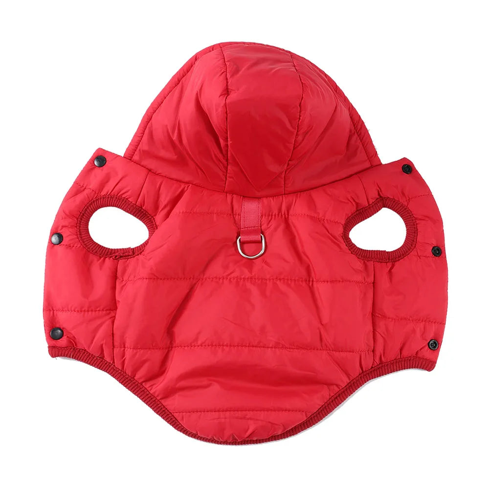 Windproof Cat Hoodie - Cozy Fleece Winter Jacket