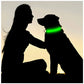 LED Luminous Dog Collar - USB Rechargeable Safety Collar
