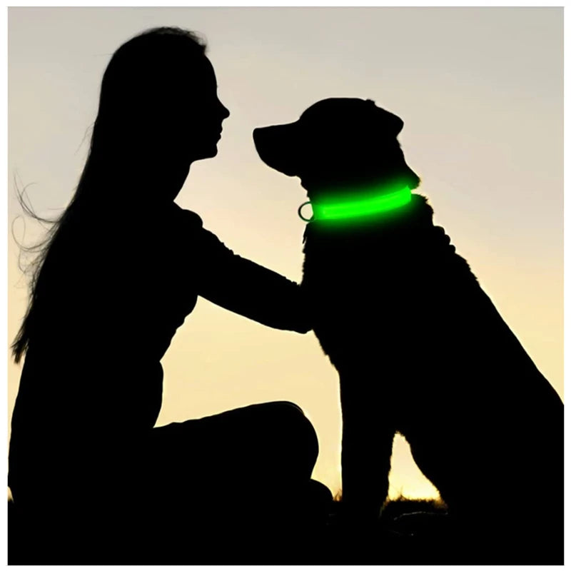 LED Luminous Dog Collar - USB Rechargeable Safety Collar