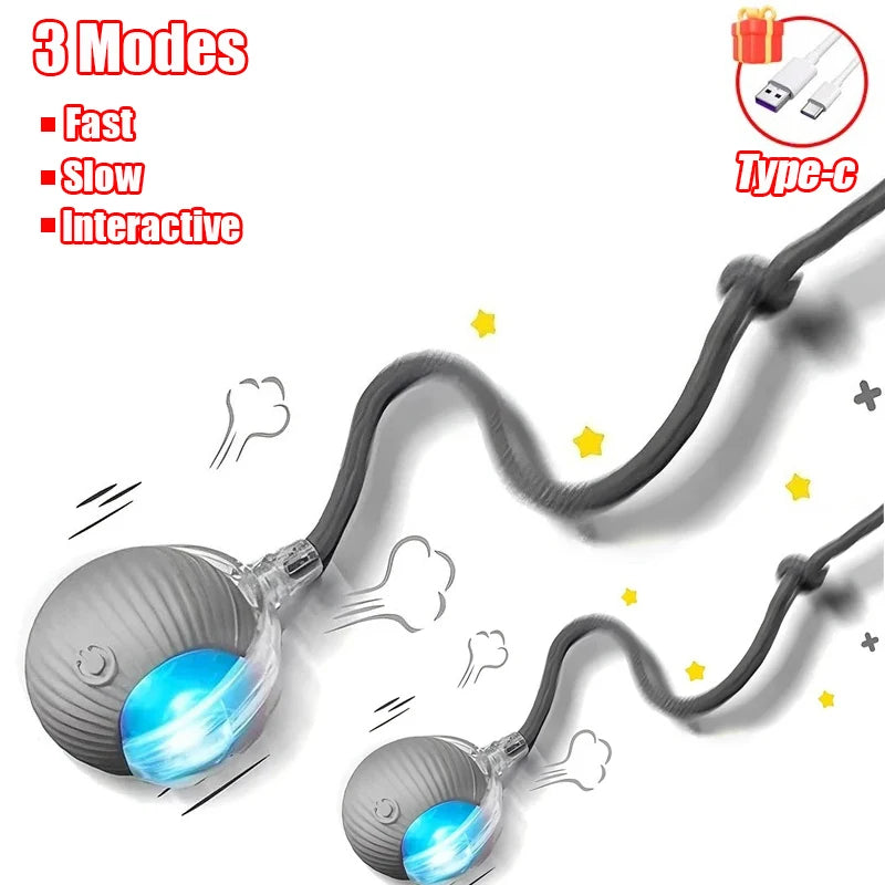 Interactive Rolling Ball - Rechargeable Mouse Tail Toy