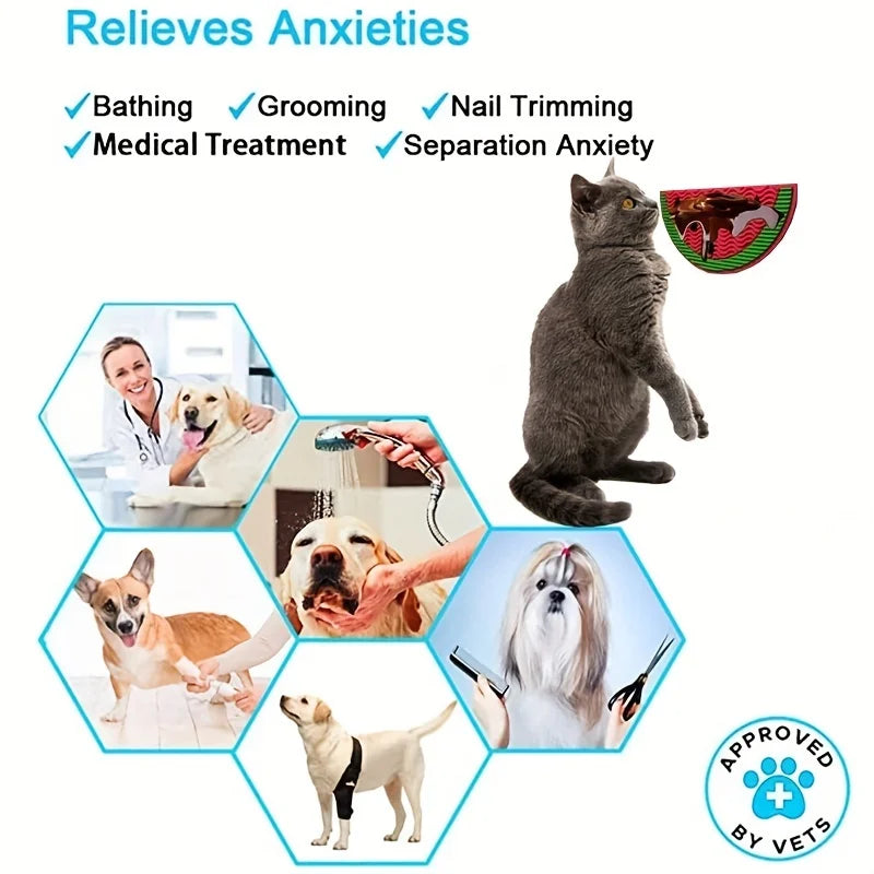 Silicone Lick Mat - Suction Cup Slow Feeder for Small Pets