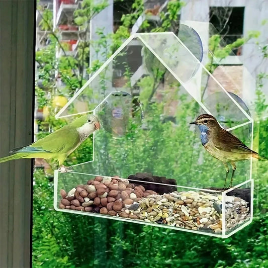 Acrylic Bird Feeder - Clear Window Hanging Feeder with Suction Cup for Outdoor Garden & Backyard