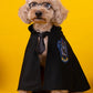 Magic Academy Cloak - Cosplay Cape for Pets