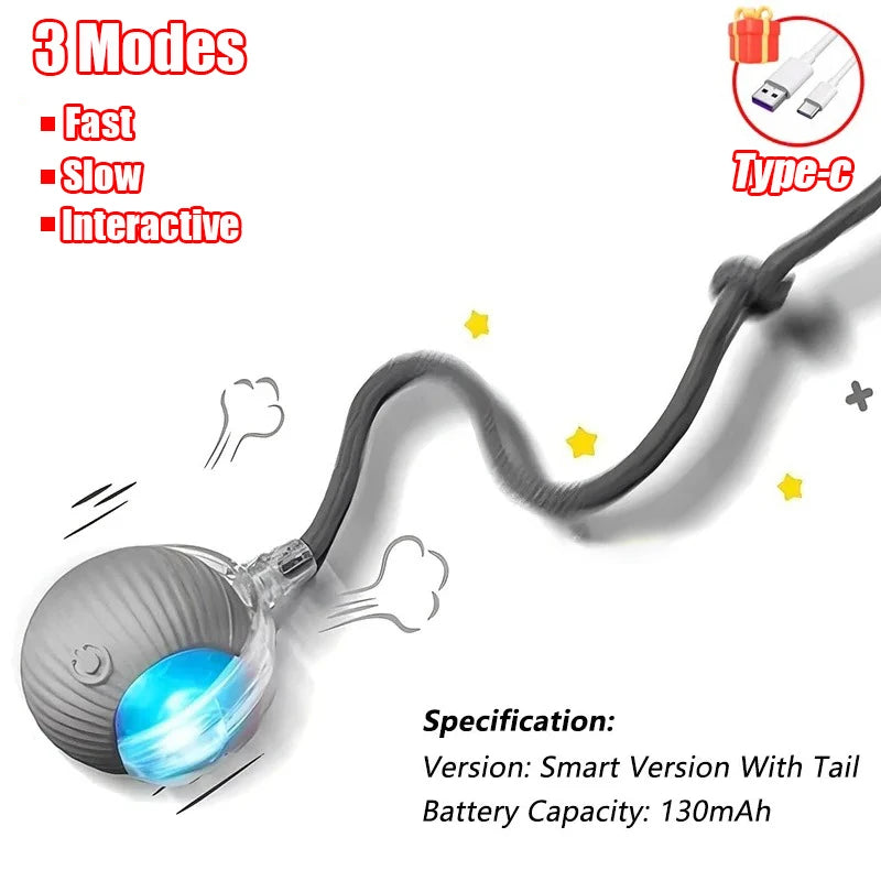 Interactive Rolling Ball - Rechargeable Mouse Tail Toy