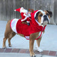 Santa Claus Christmas Pet Costume - Warm Holiday Outfit