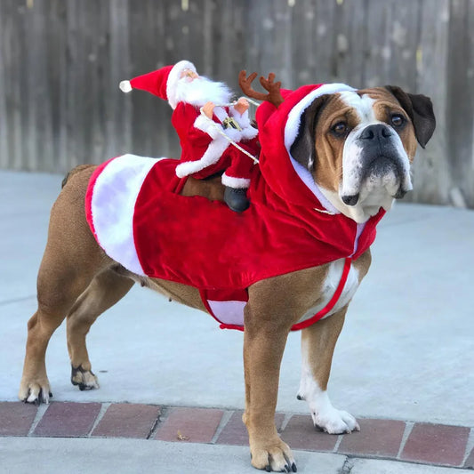 Santa Claus Christmas Pet Costume - Warm Holiday Outfit