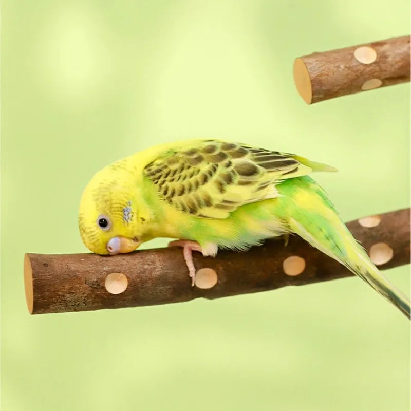 Natural Wood Bird Parakeet Stand Branch