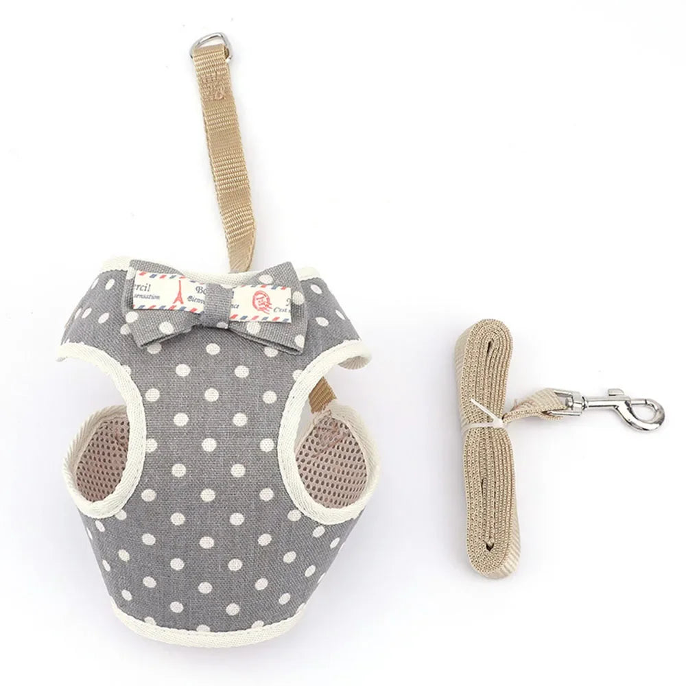 Cute Mesh Harness and Leash Set - Bowknot Design