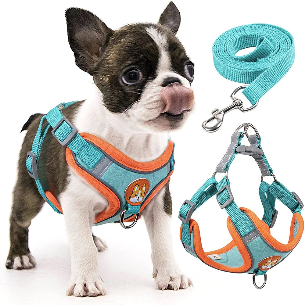 Step-In Dog Harness - Reflective Vest with Leash Set