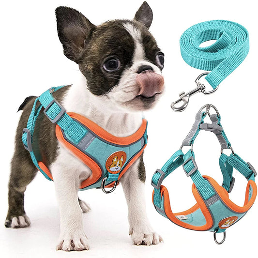 Step-In Dog Harness - Reflective Vest with Leash Set