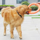 EVA Flying Disk - Interactive Dog Training Ring Toy
