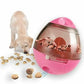IQ Treat Ball - Slow Food Dispenser for Dogs