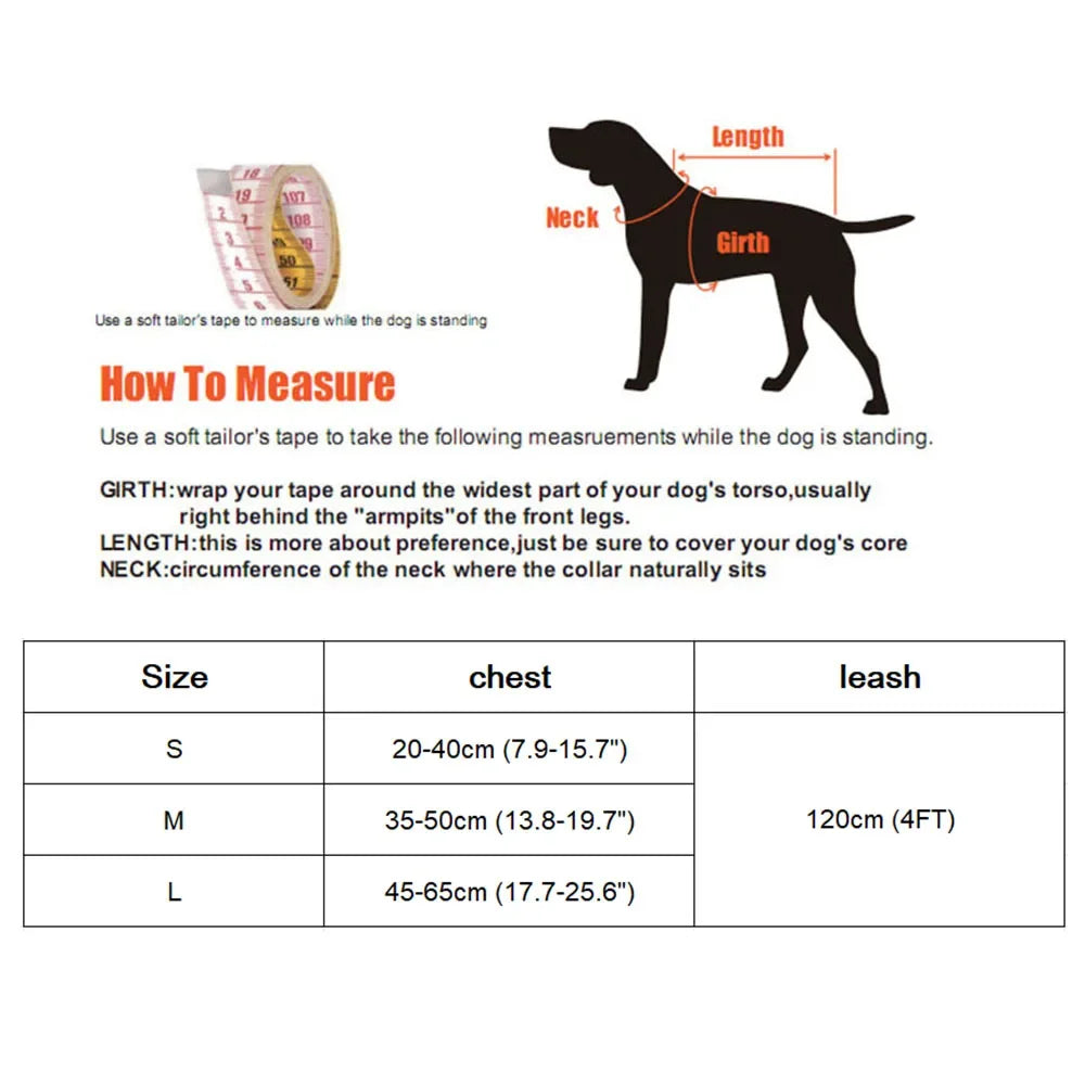 Cute Mesh Harness and Leash Set - Bowknot Design