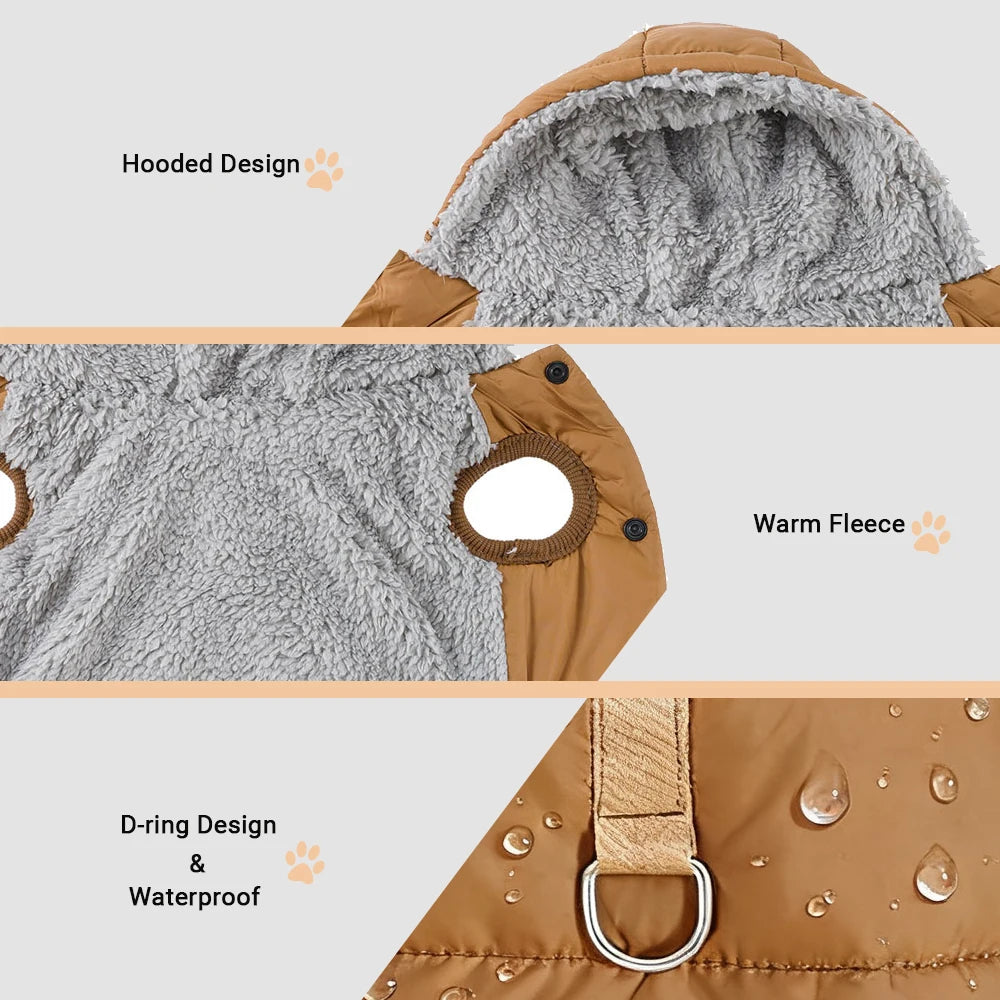 Windproof Cat Hoodie - Cozy Fleece Winter Jacket
