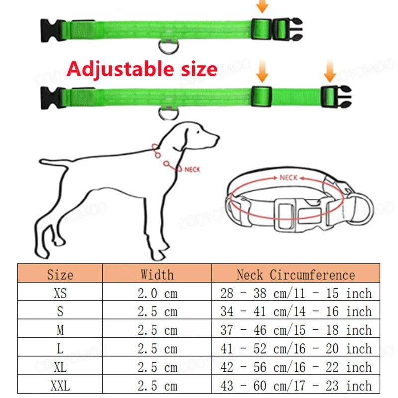 LED Luminous Dog Collar - USB Rechargeable Safety Collar