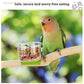 Parrot Food Bowl Feeder Cup with Clip - Small Pet Bird Water Bowl & Feeding Basin for Bird Cages