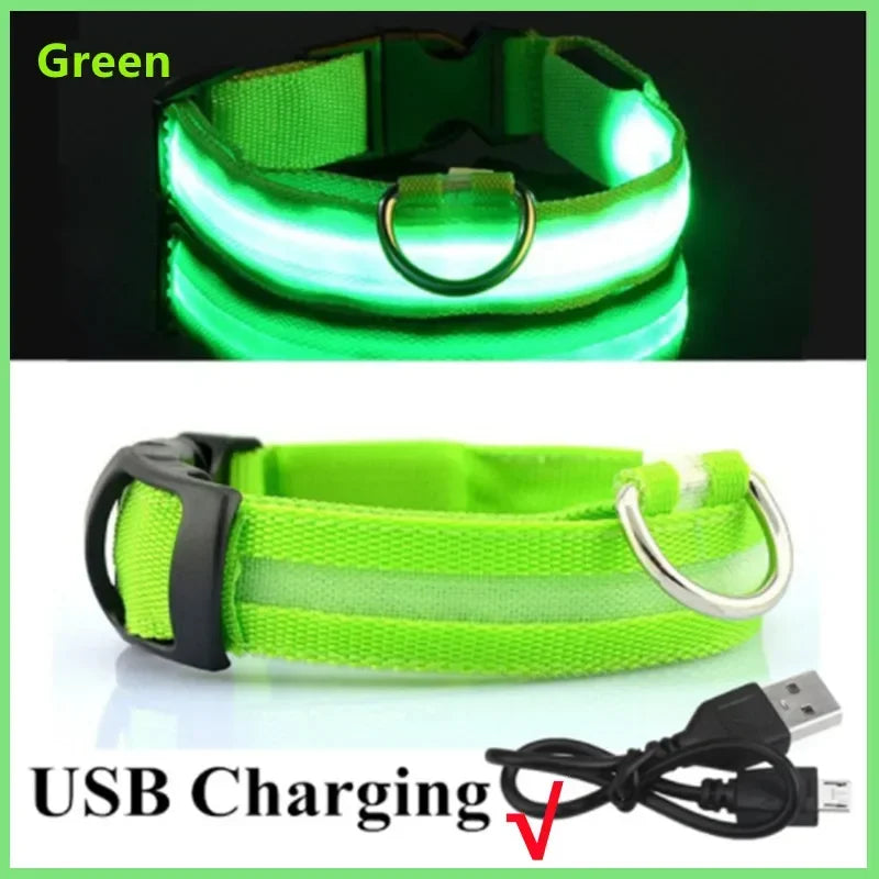 LED Luminous Dog Collar - USB Rechargeable Safety Collar
