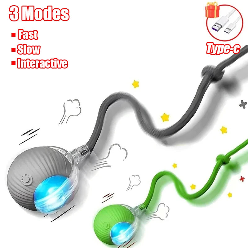 Interactive Rolling Ball - Rechargeable Mouse Tail Toy