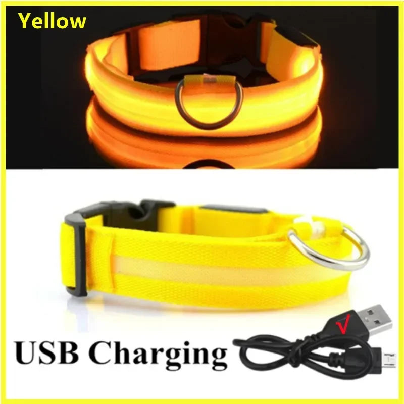 LED Luminous Dog Collar - USB Rechargeable Safety Collar
