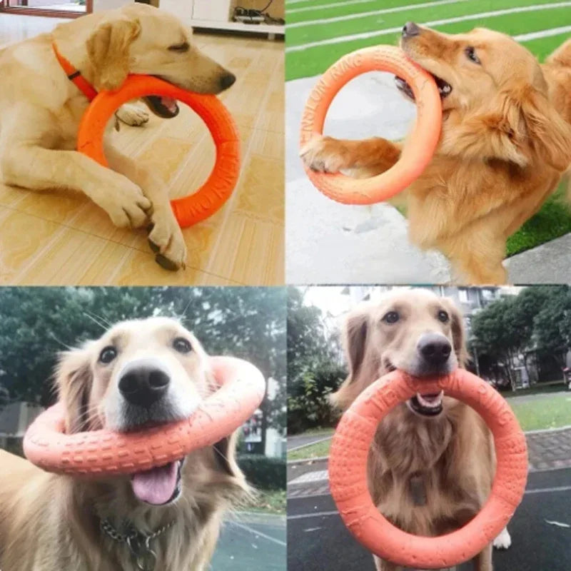 EVA Flying Disk - Interactive Dog Training Ring Toy