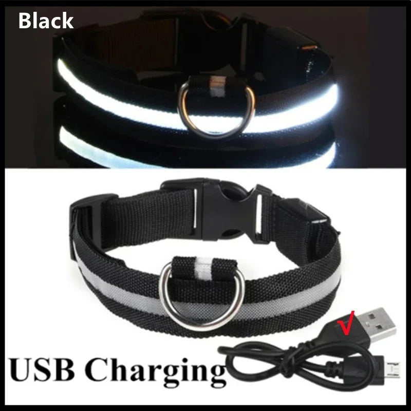 LED Luminous Dog Collar - USB Rechargeable Safety Collar