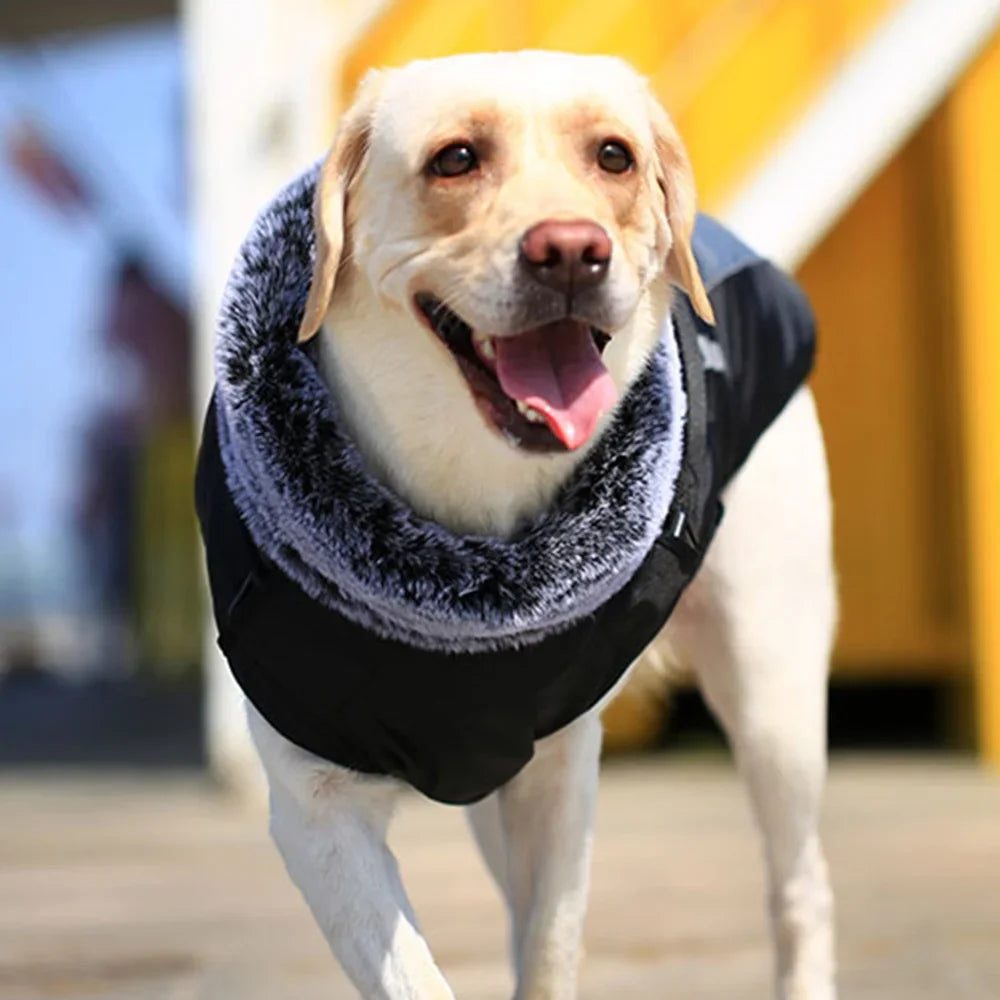 Winter Dog Coat with Fur Collar - Extra Large Sizes XL to 6XL