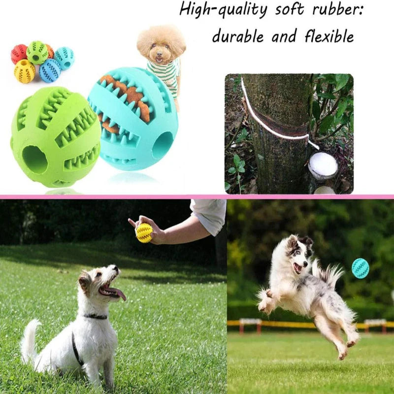 Interactive Rubber Ball - Treat Feeder and Tooth Cleaner
