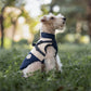Thick Cotton Dog Vest - Windproof Warm Coat for Winter