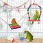 Colorful Wooden Bird Toys - Swing Hammock & Chewing Toys Set for Parrots