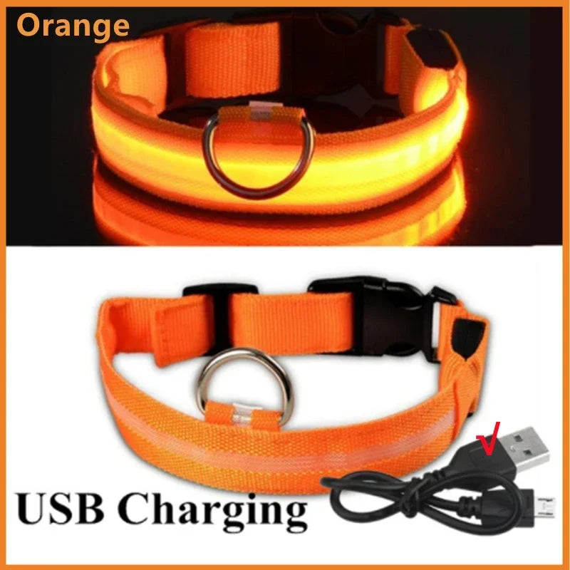 LED Luminous Dog Collar - USB Rechargeable Safety Collar