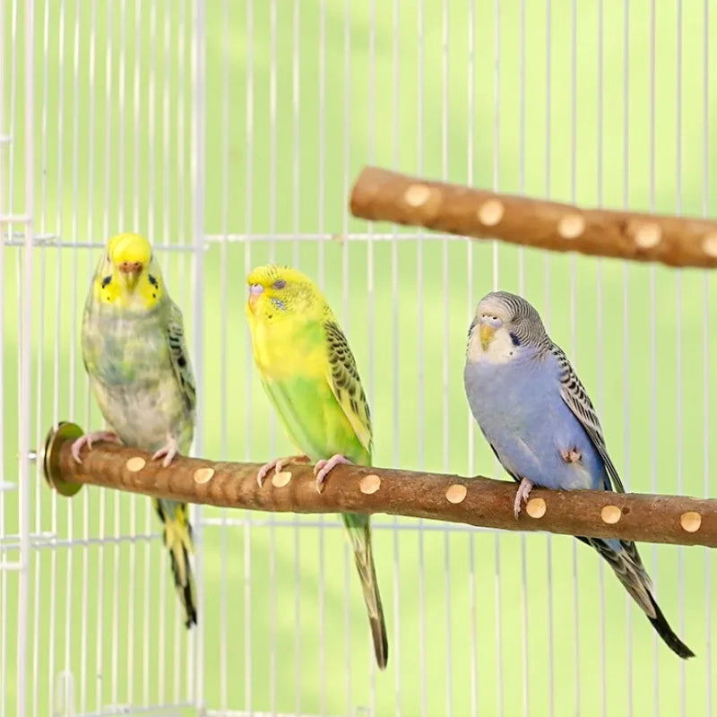 Natural Wood Bird Parakeet Stand Branch