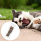 Natural Catnip Sticks - Silvervine Matatabi Dental Toy